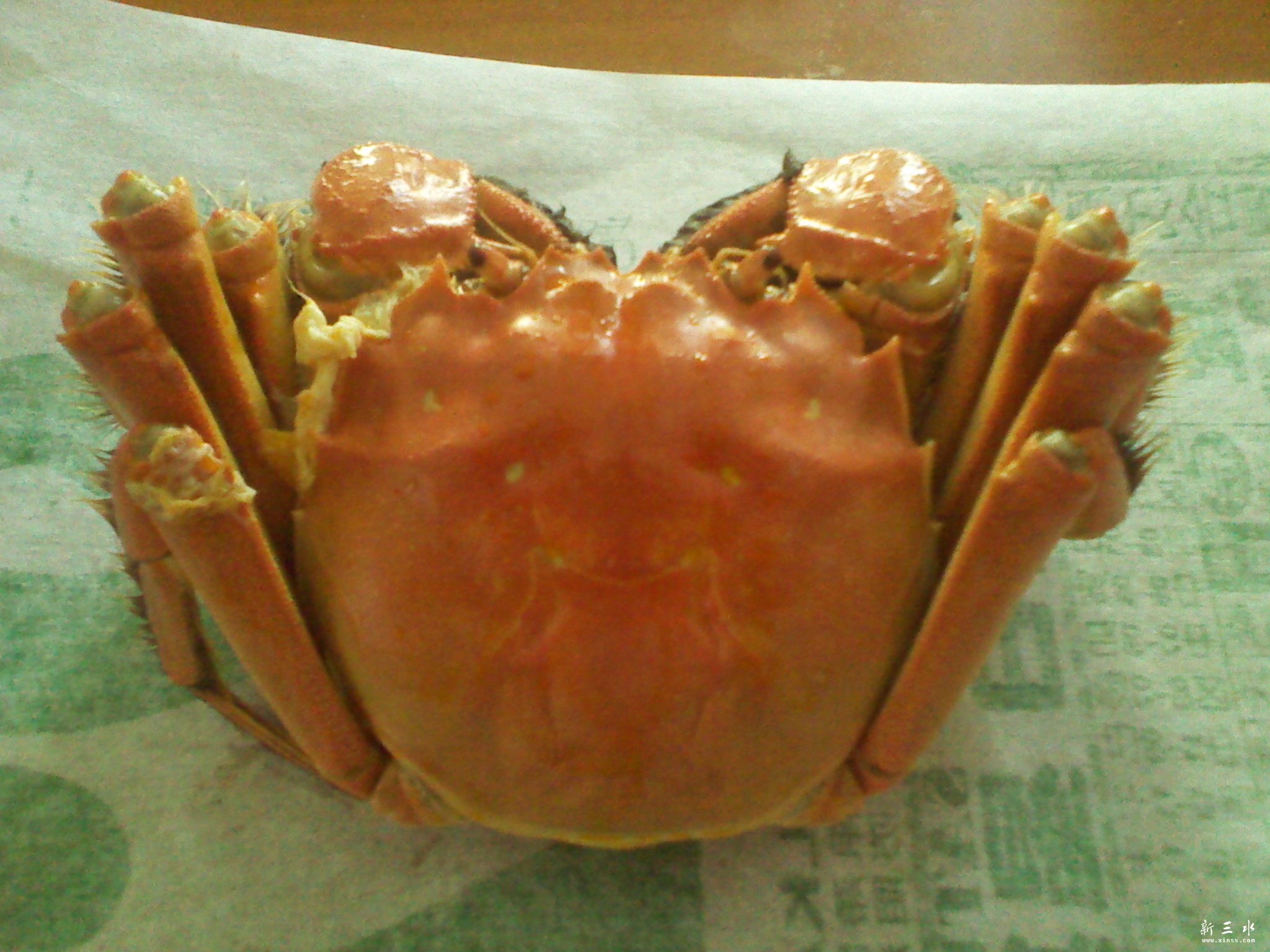 2011-11-06 12.27.50.jpg