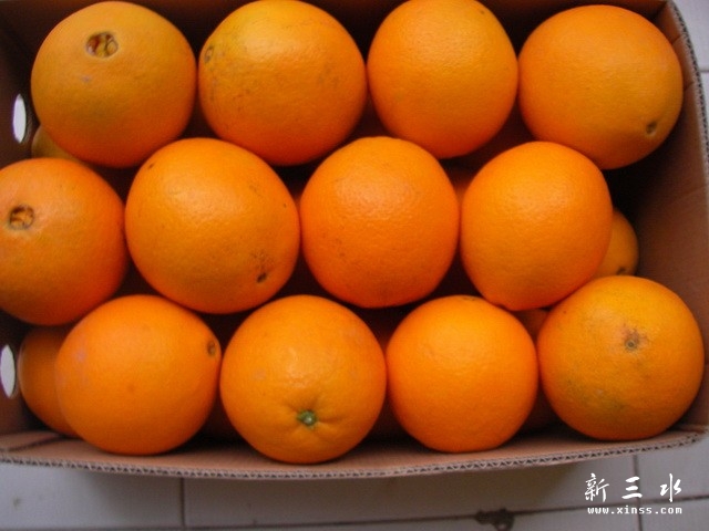 江西脐橙.jpg