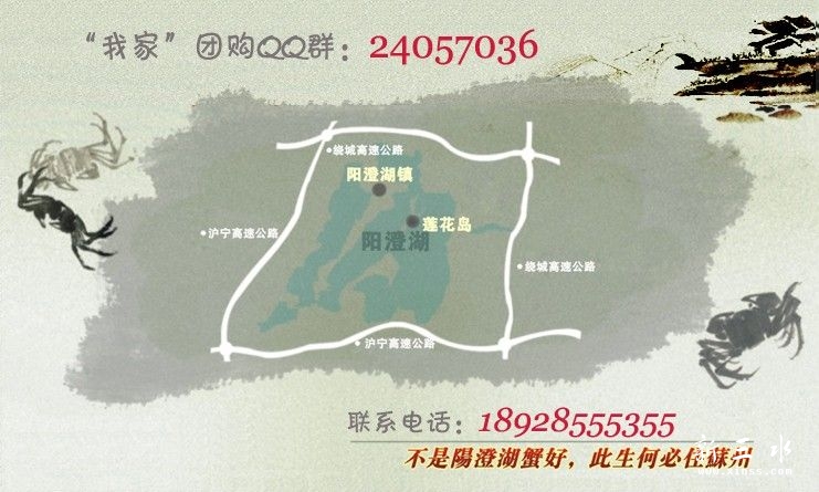 阳澄湖蟹好.jpg