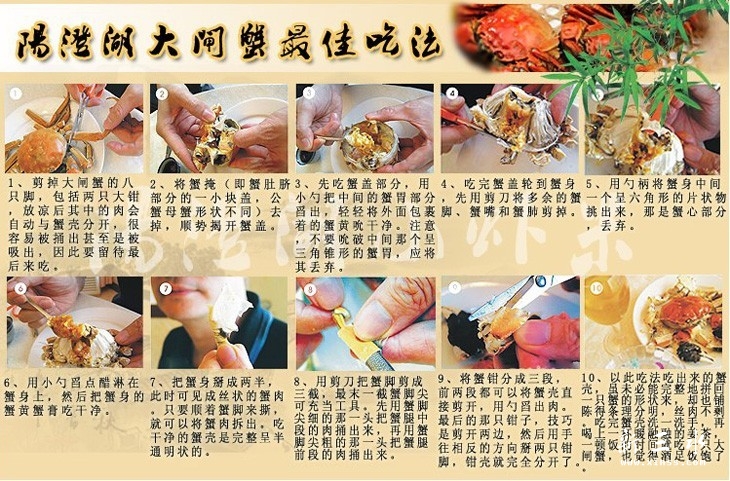 阳澄湖大闸蟹最佳吃法.jpg