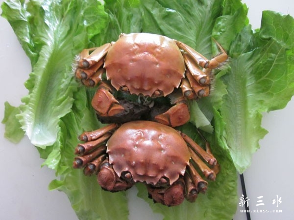 阳澄湖大闸蟹.jpg