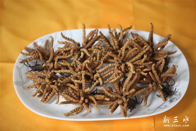 �����Ĳ�169Ԫһ��