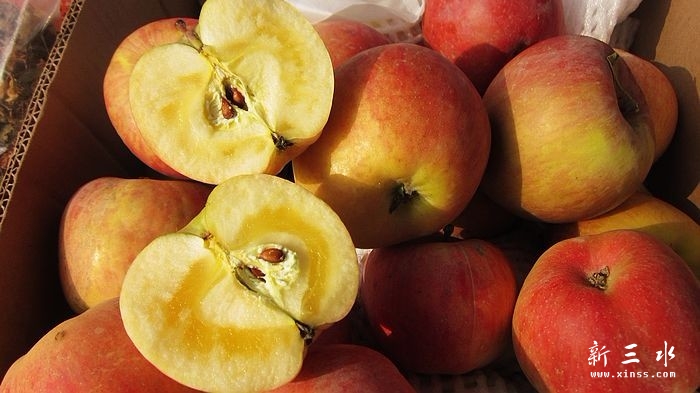 2011����ƻ��2011����ƻ���ض����� .jpg