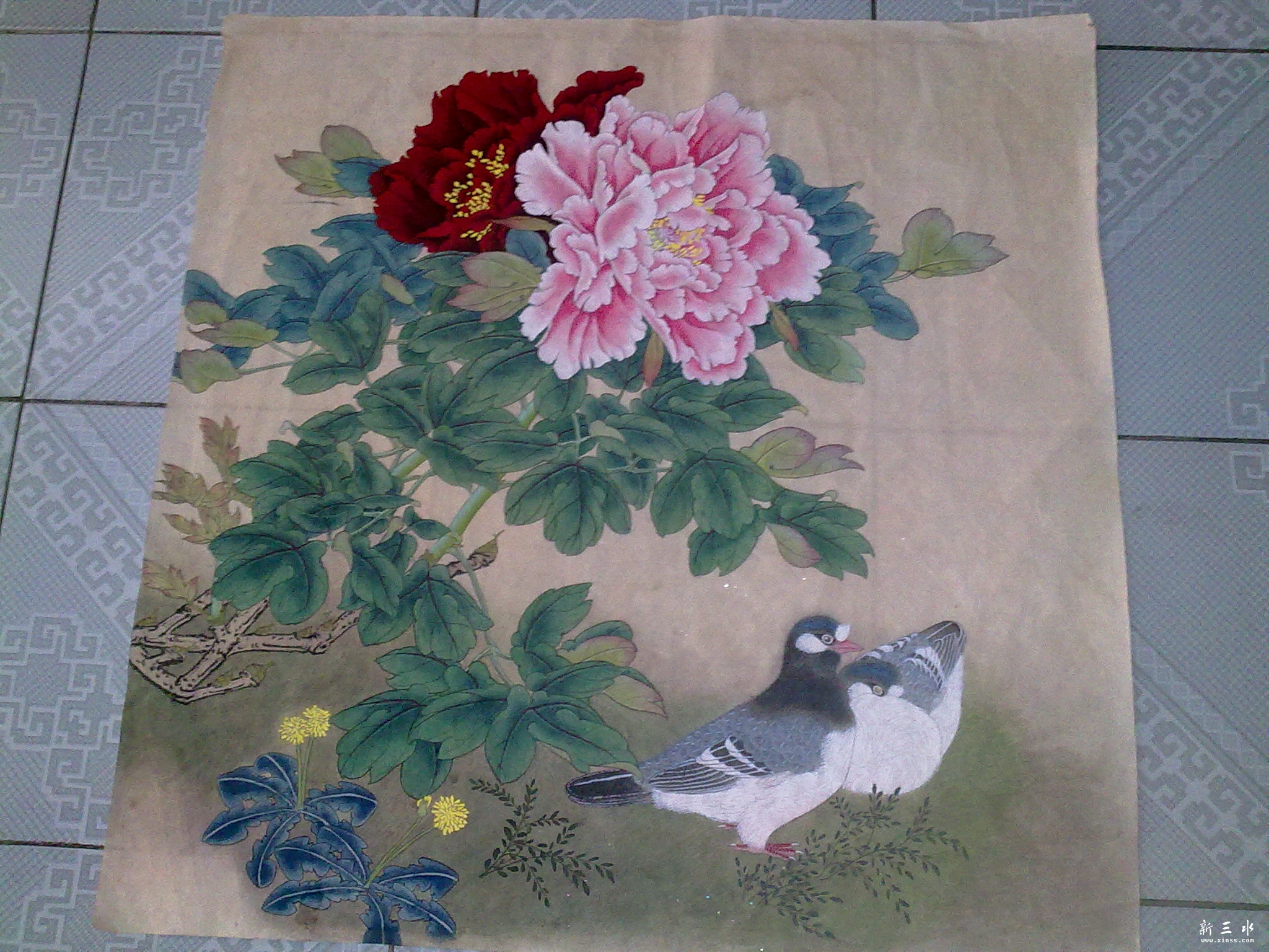 201111271856.jpg