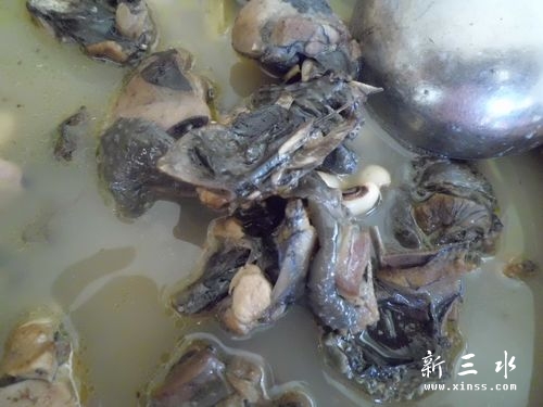 ����֮��ļ�������ζŨ��