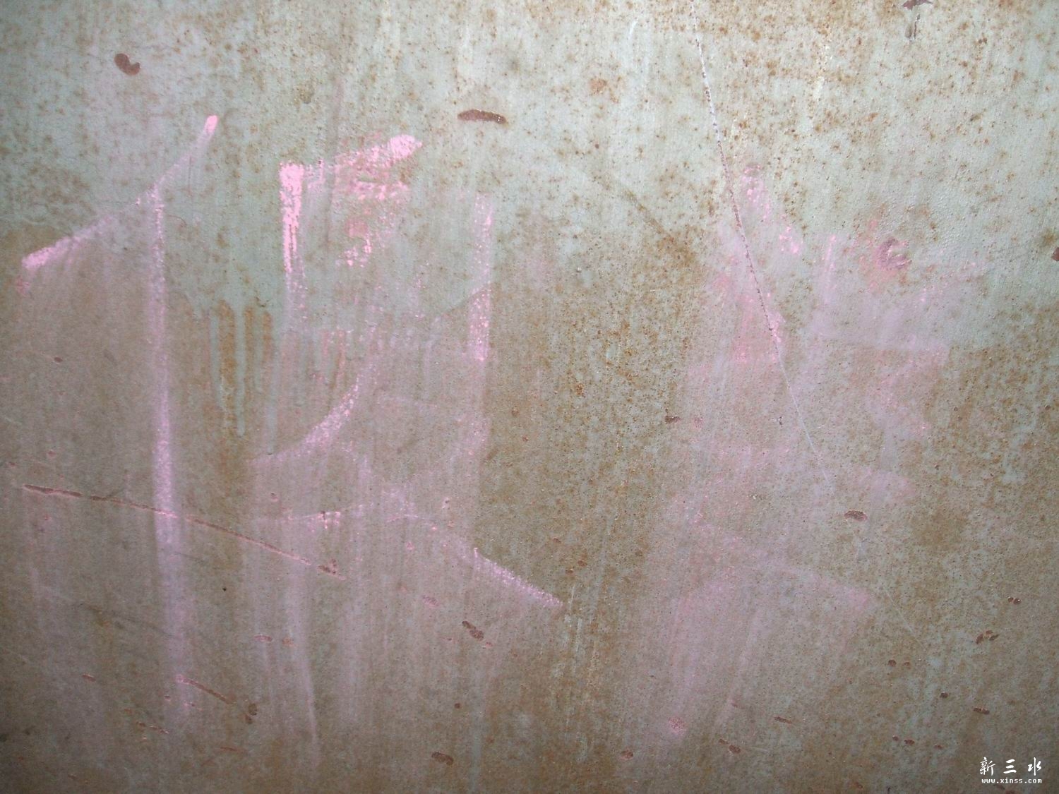 ������С DSCF0096.JPG