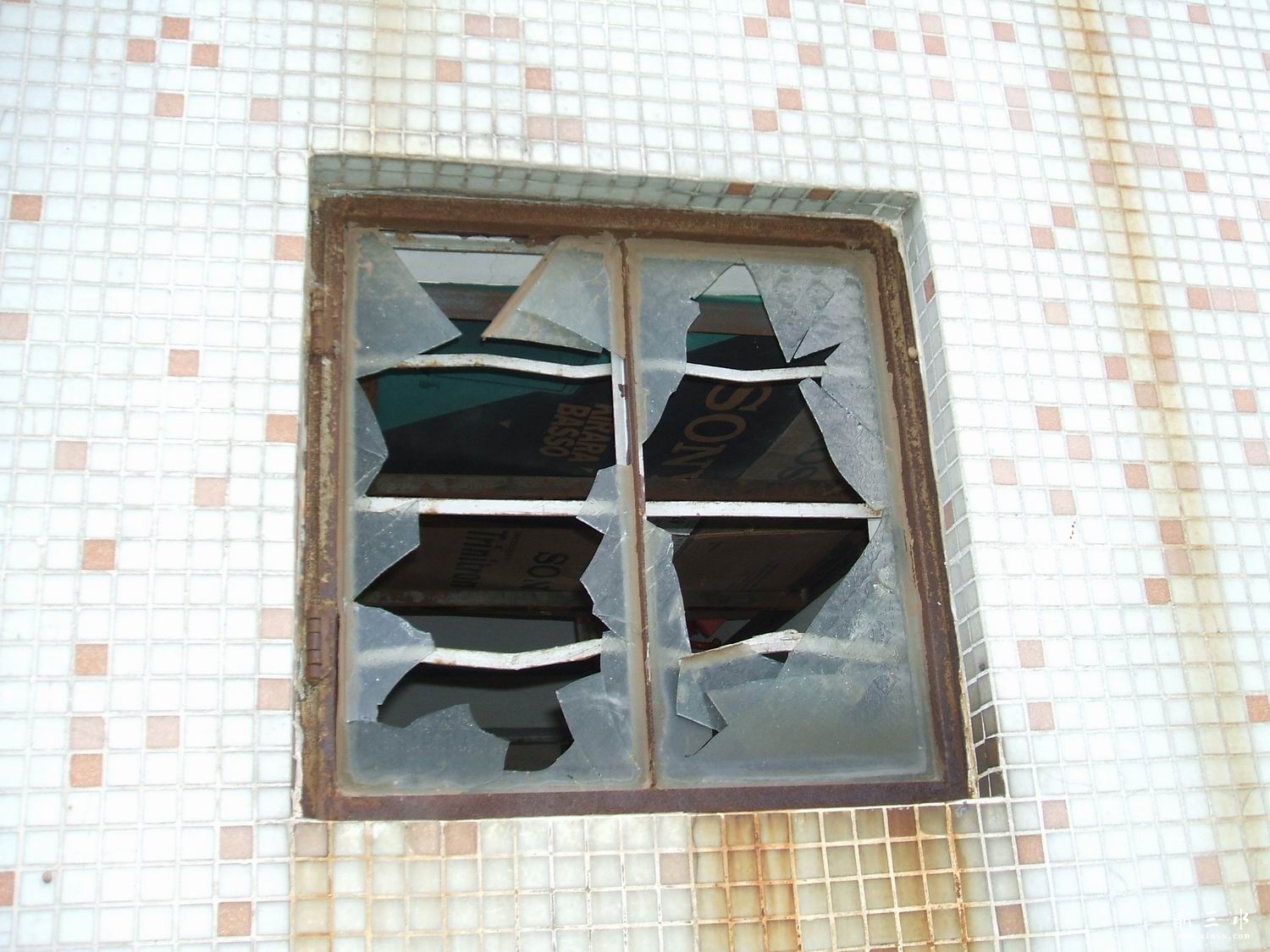 ������С DSCF0075.JPG