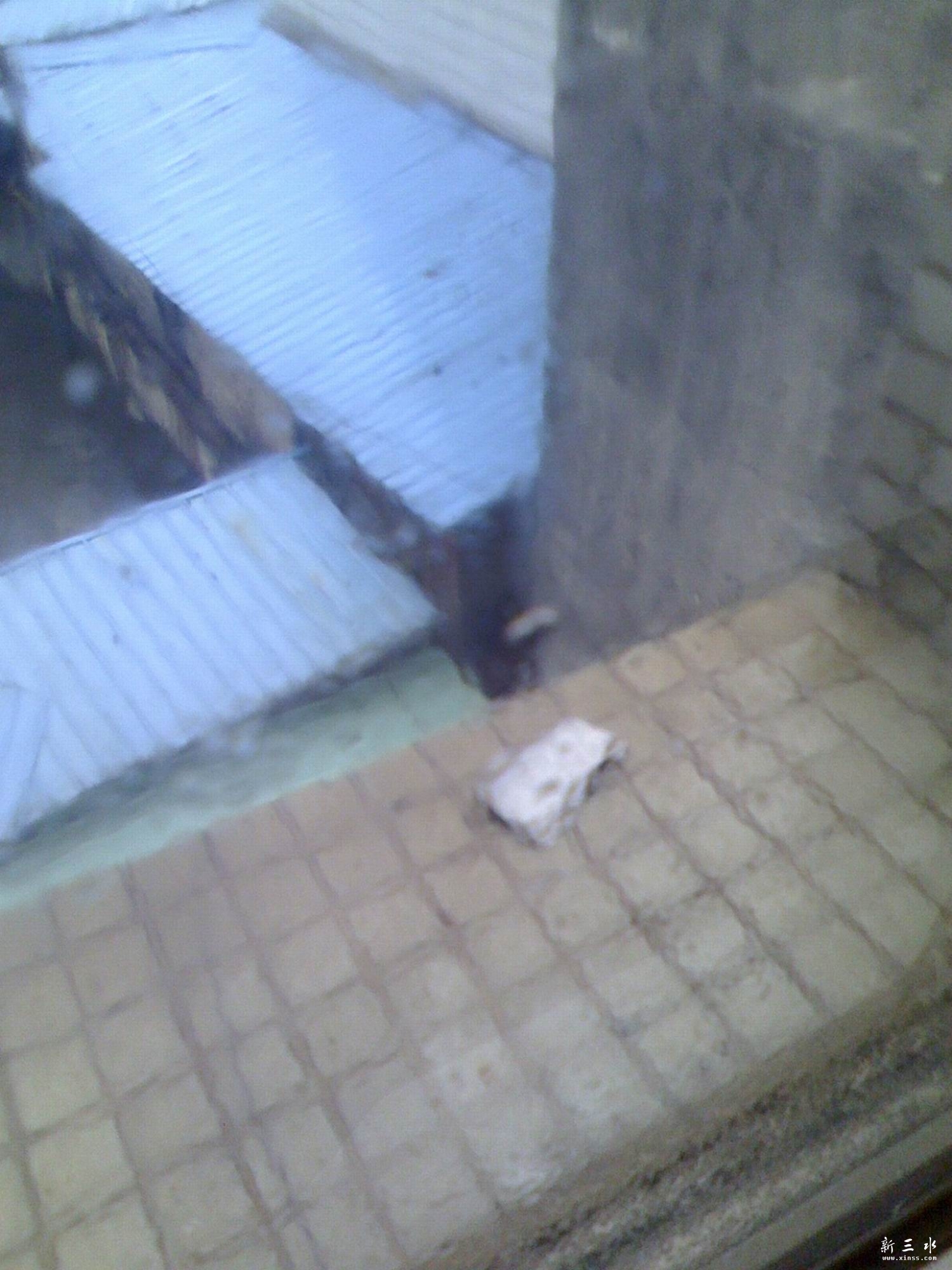 ������С IMG1225101500.jpg