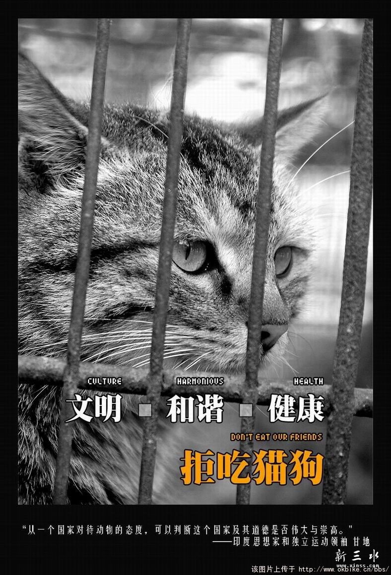 没有买卖的没有杀害,为那些在利益驱使下被残杀的动物送上一份祝福