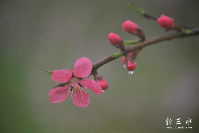 psb(102).jpeg