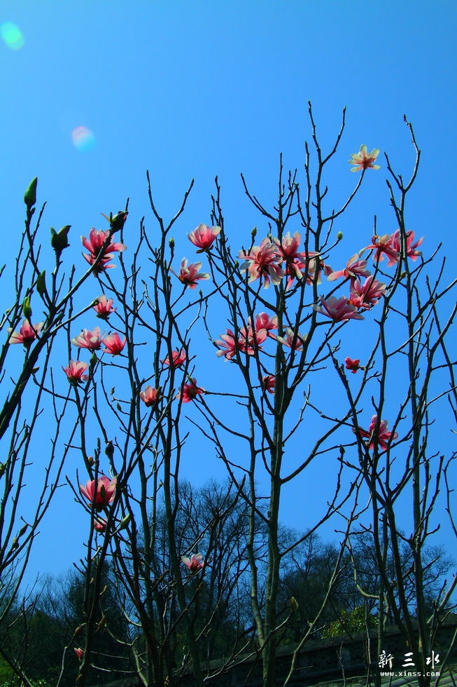 IMG_6650_调整大小.JPG