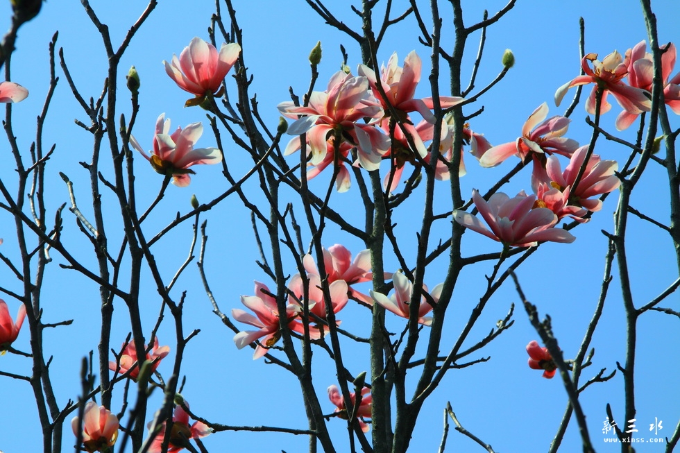 IMG_6651_调整大小.JPG