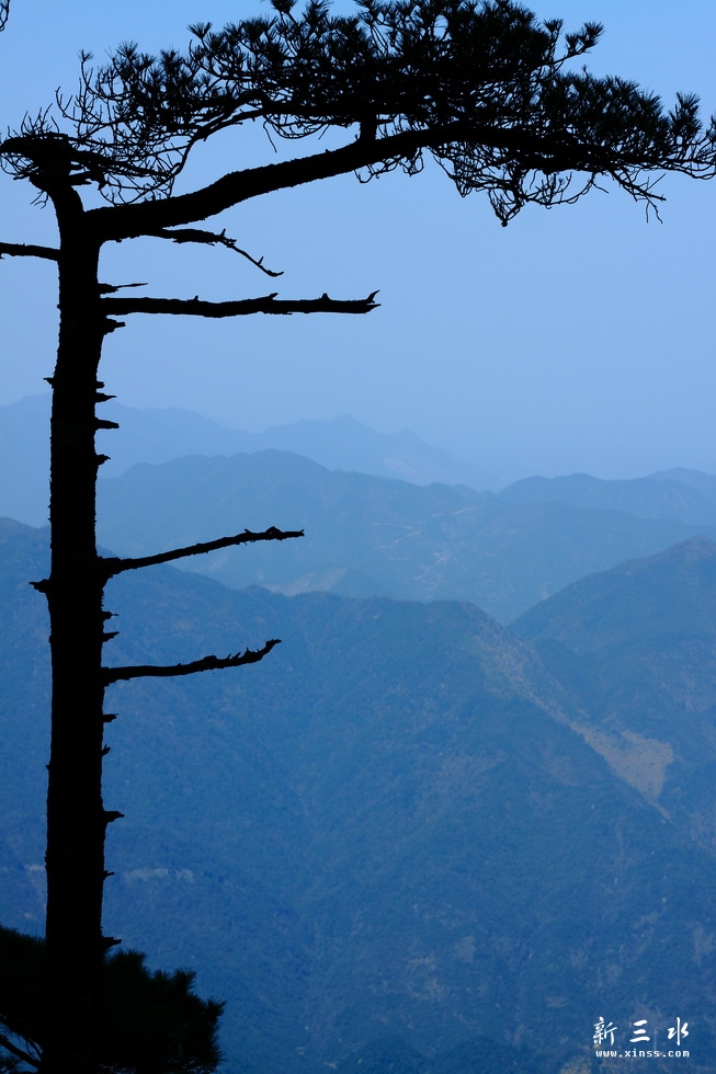 IMG_6954_调整大小.JPG
