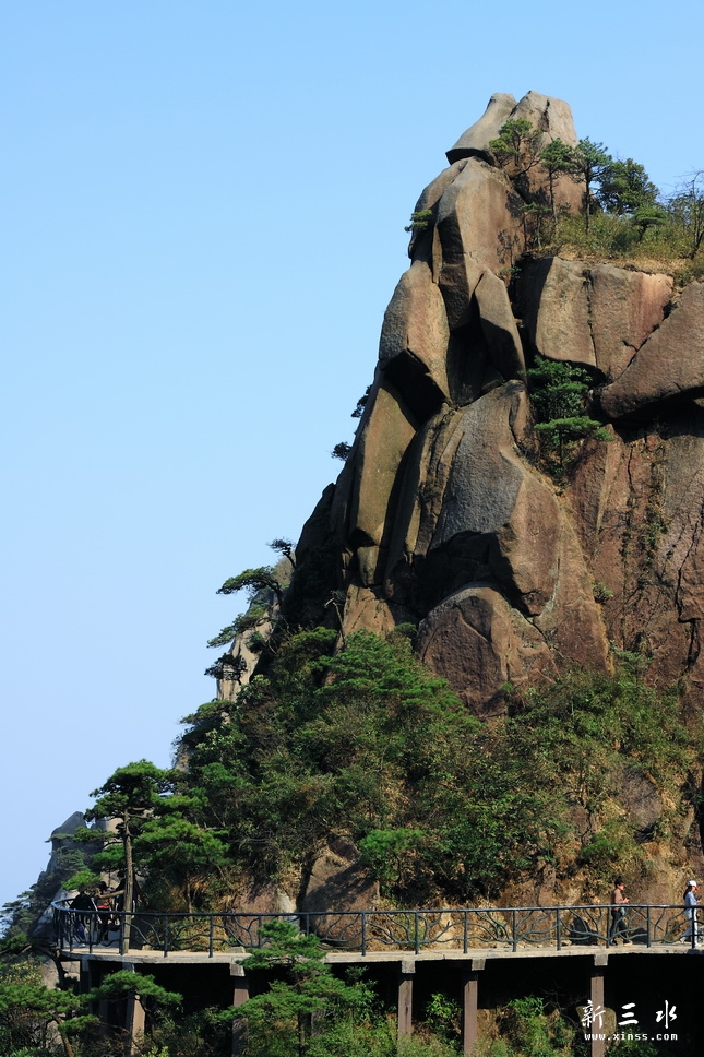 IMG_6967_调整大小.JPG