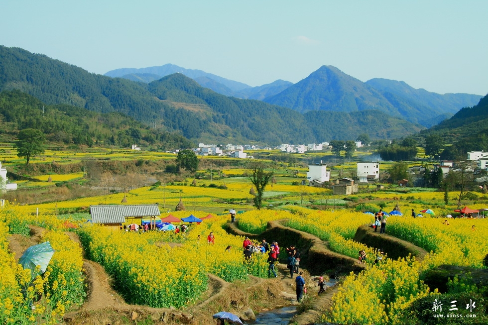 IMG_6675_调整大小.JPG
