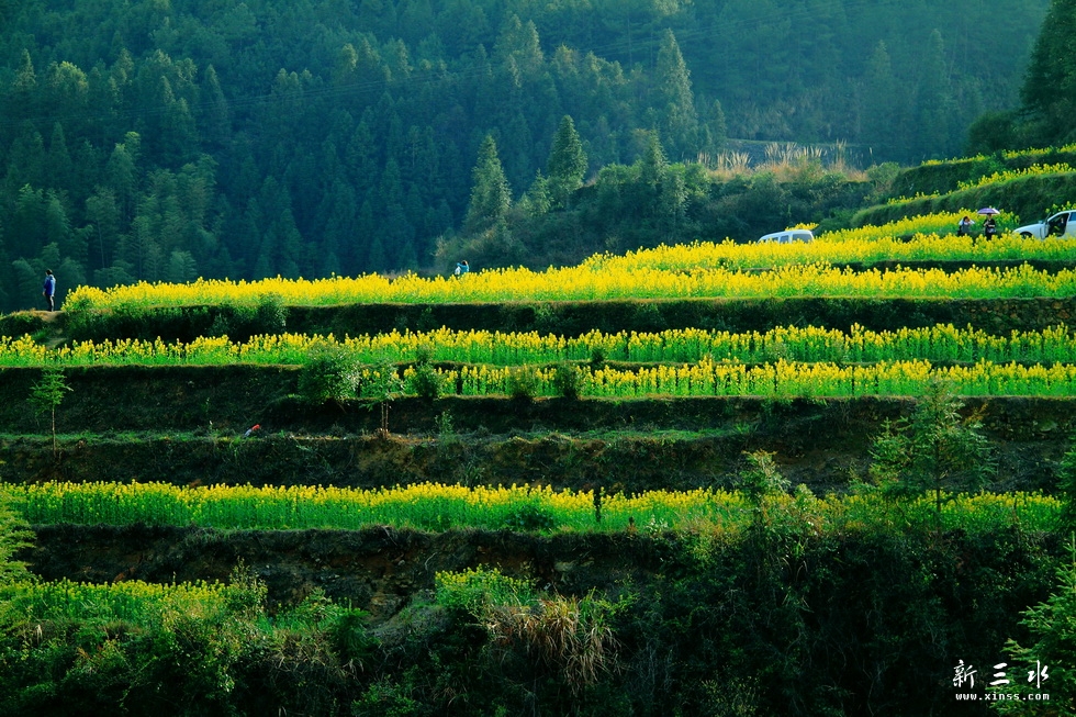 IMG_6710_调整大小.JPG