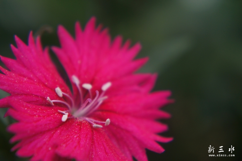 DSC01647.JPG