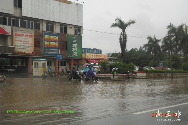 2012-04-20雨后03.jpg