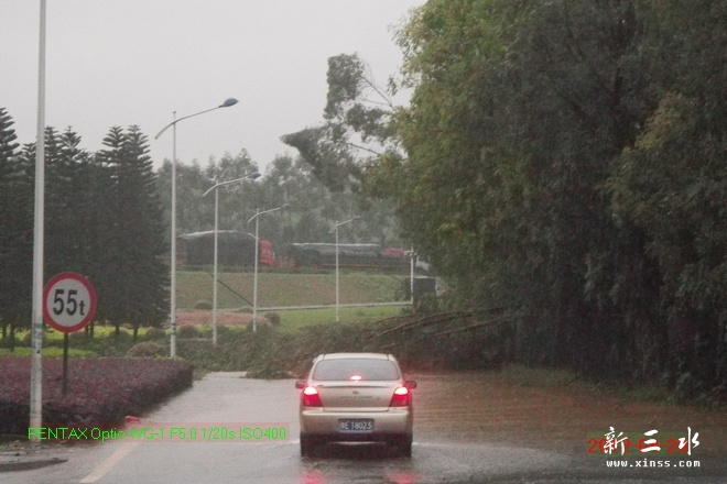 2012-04-20雨后05.jpg
