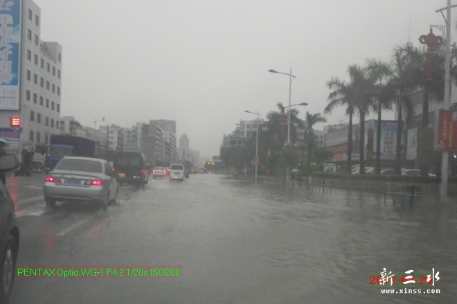 2012-04-20雨后06.jpg