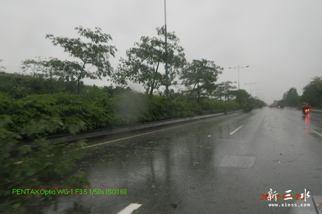 2012-04-20雨后14.jpg