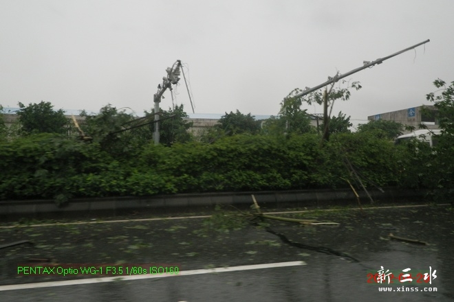 2012-04-20雨后13.jpg