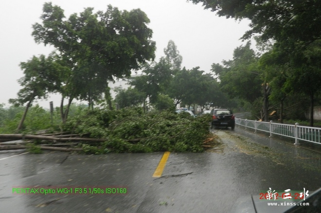 2012-04-20雨后15.jpg