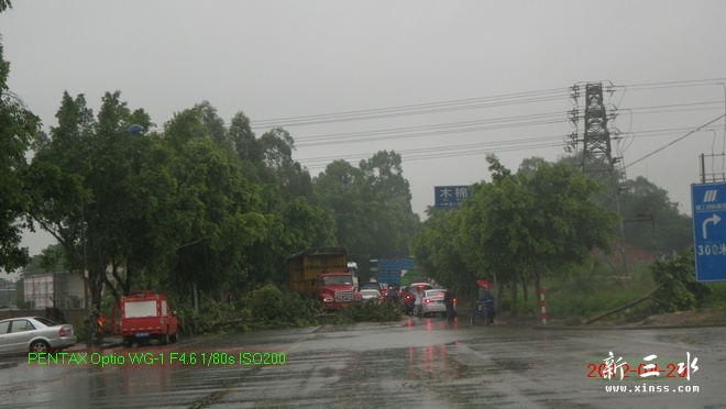 2012-04-20雨后21.jpg