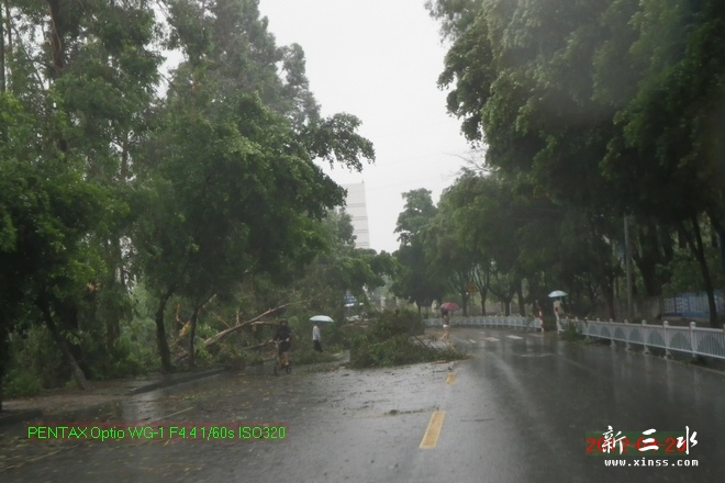 2012-04-20雨后16.jpg