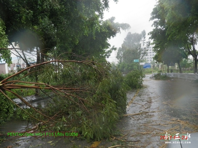 2012-04-20雨后19.jpg