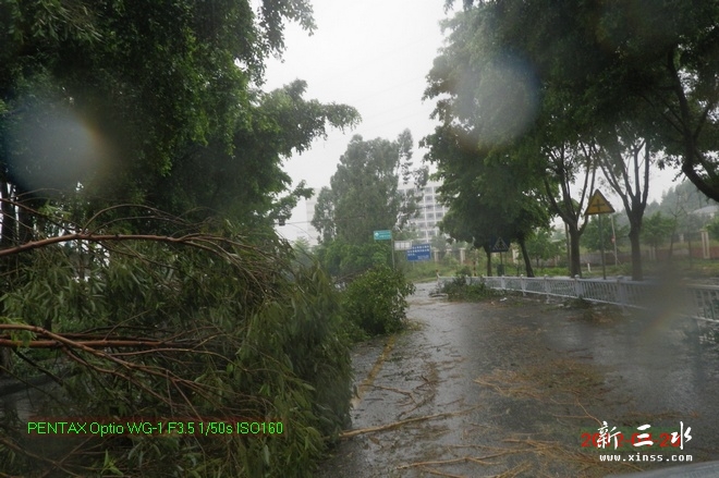 2012-04-20雨后20.jpg