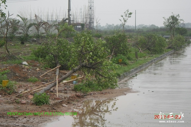 2012-04-20雨后25.jpg