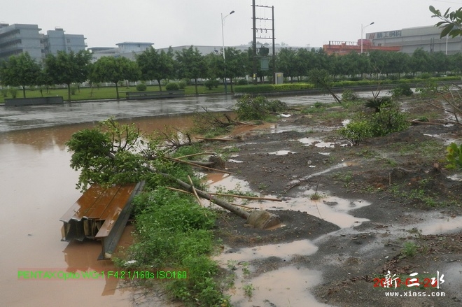 2012-04-20雨后23.jpg