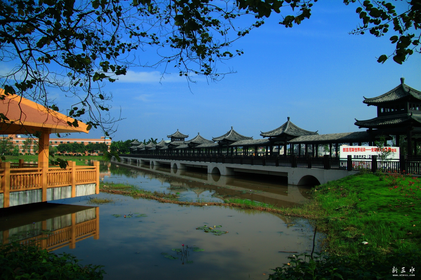 IMG_7166_调整大小.JPG