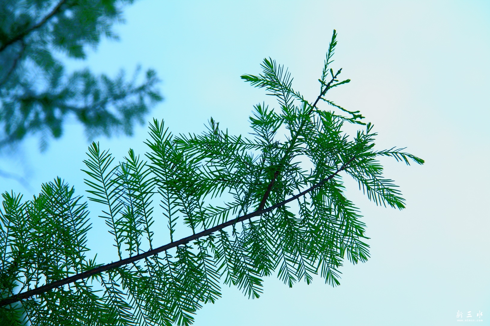 IMG_7186_调整大小.JPG