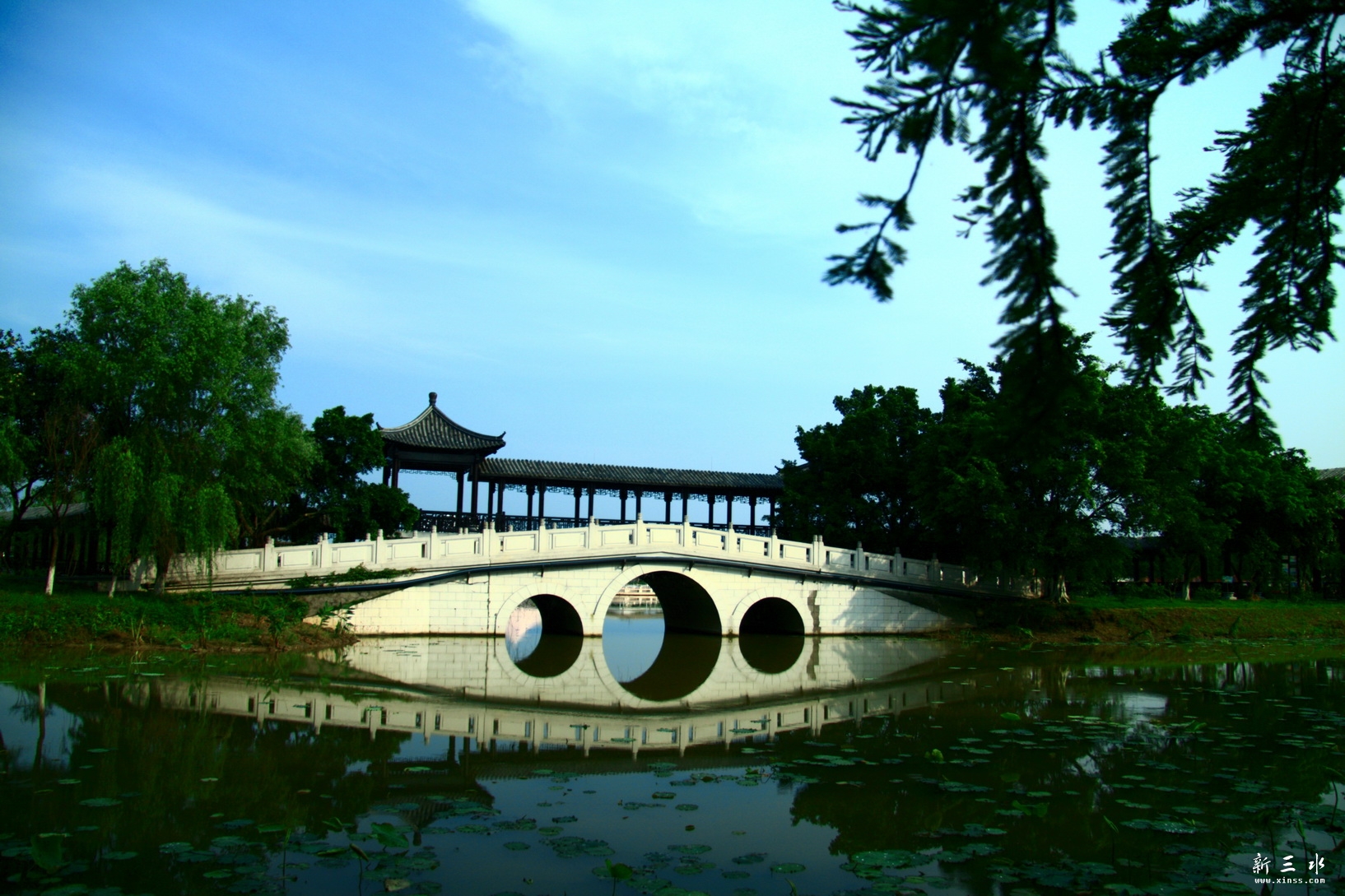 IMG_7189_调整大小.JPG