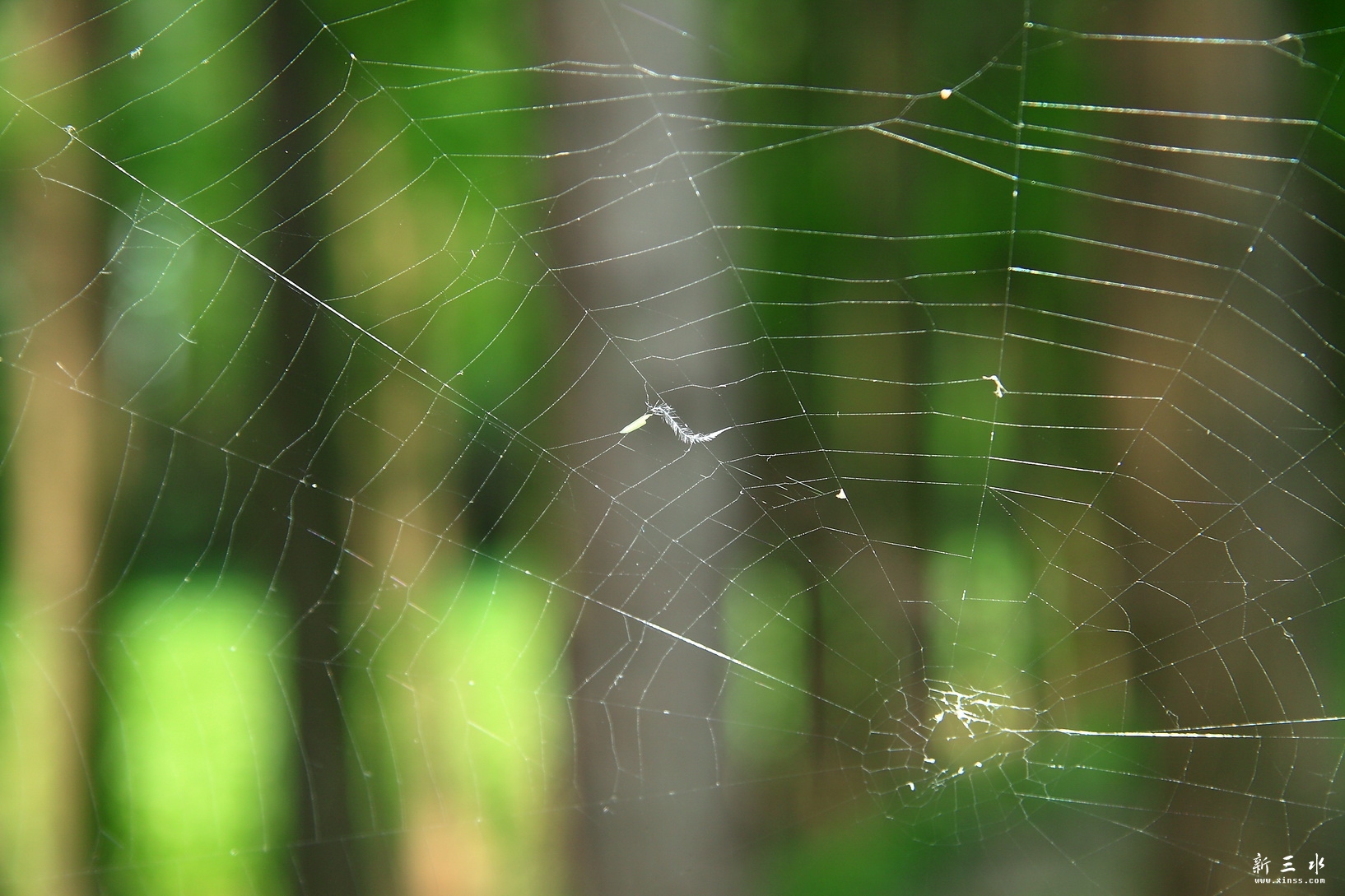 IMG_7213_调整大小.JPG