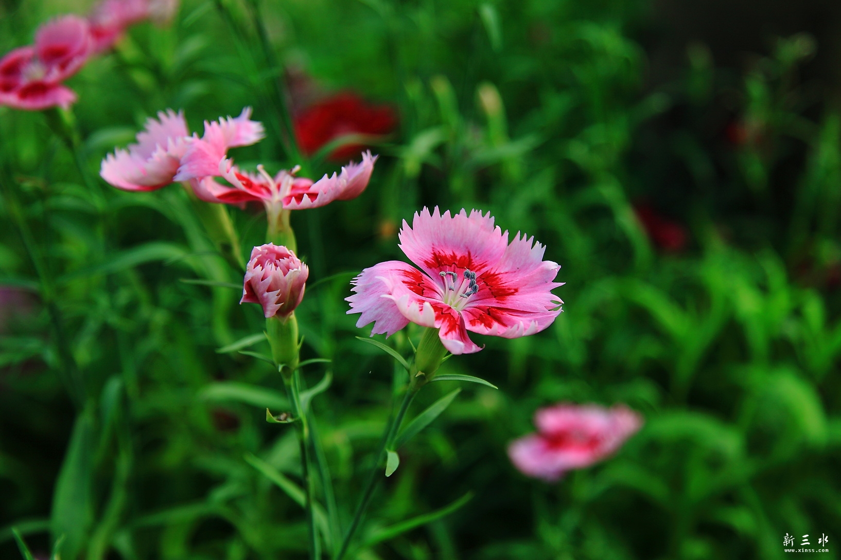 IMG_7261_调整大小.JPG