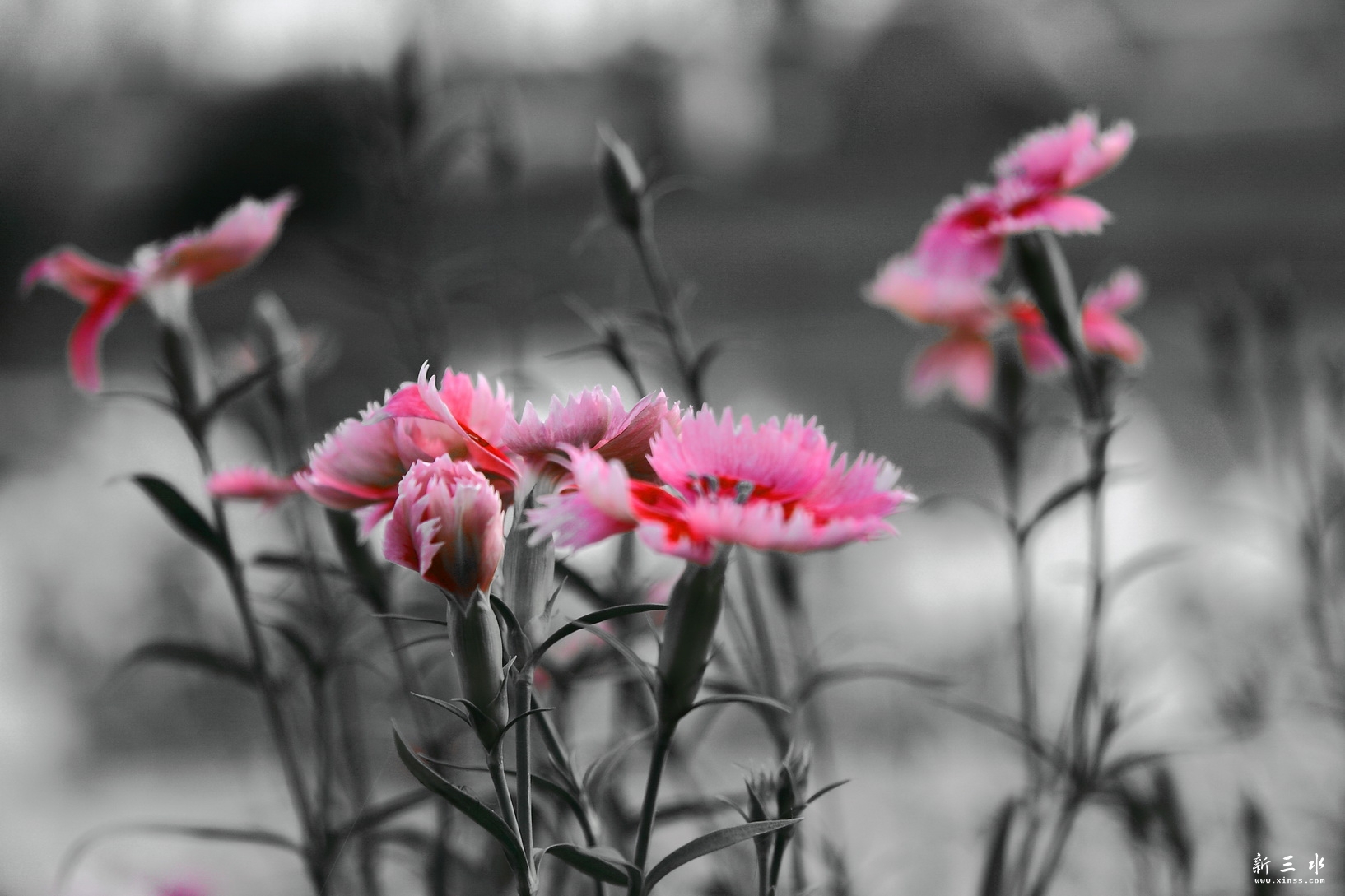 IMG_7263_调整大小.JPG