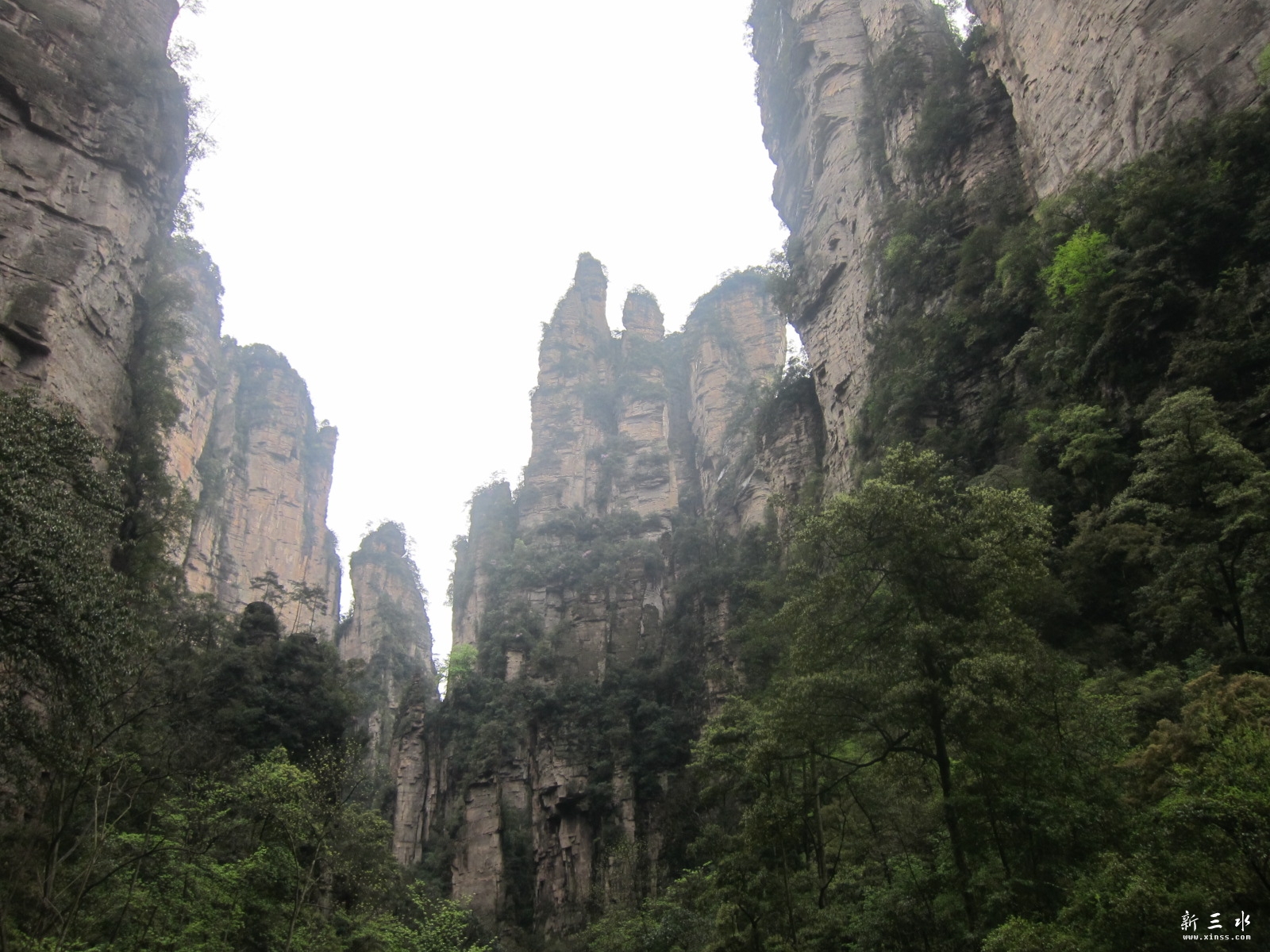 �ڶ�������--���Ϫ (23).JPG