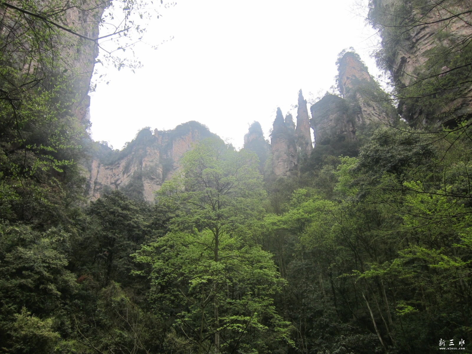 �ڶ�������--���Ϫ (58).JPG