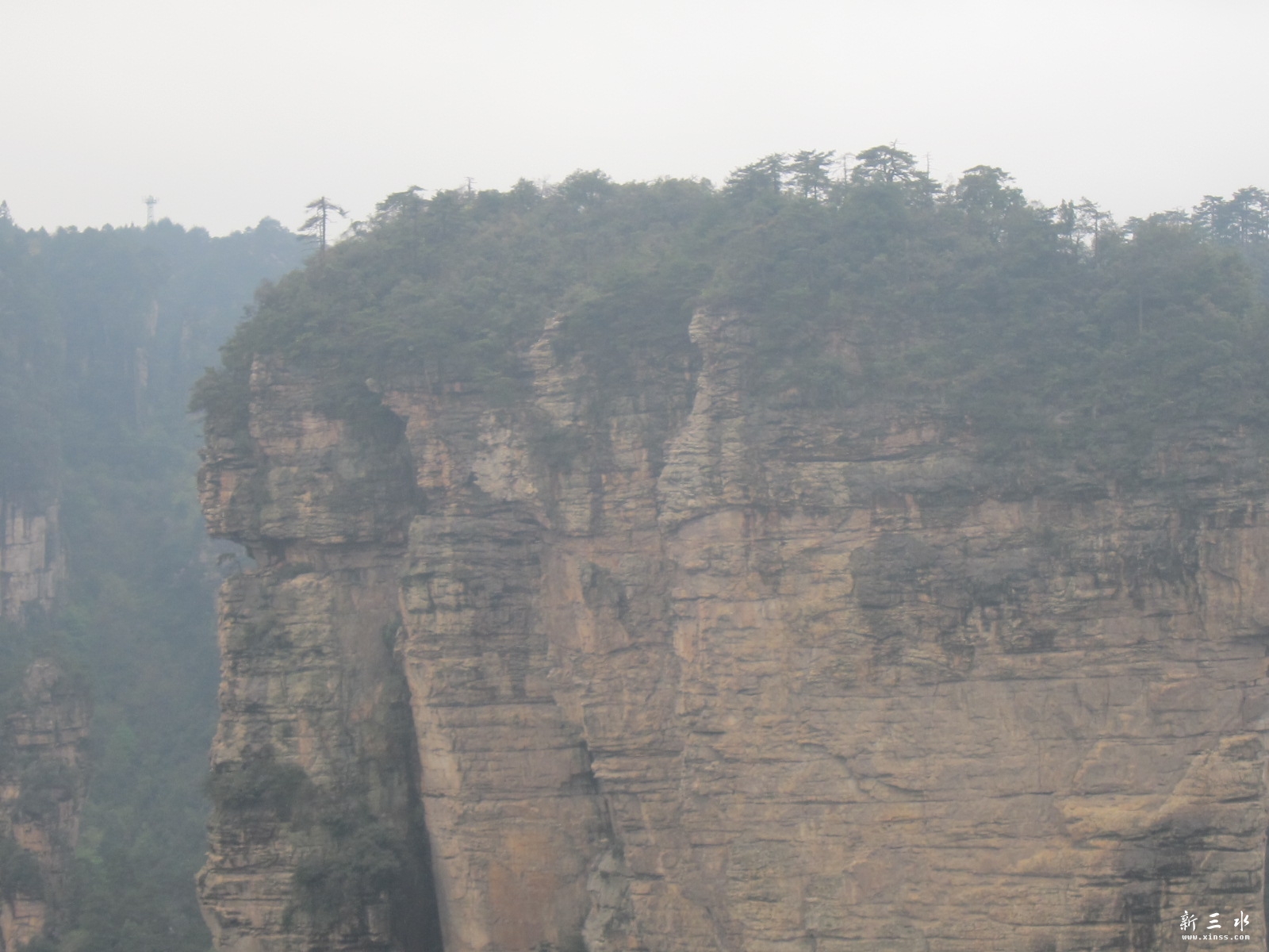 �ڶ�������--��Ԫ�� (1).JPG