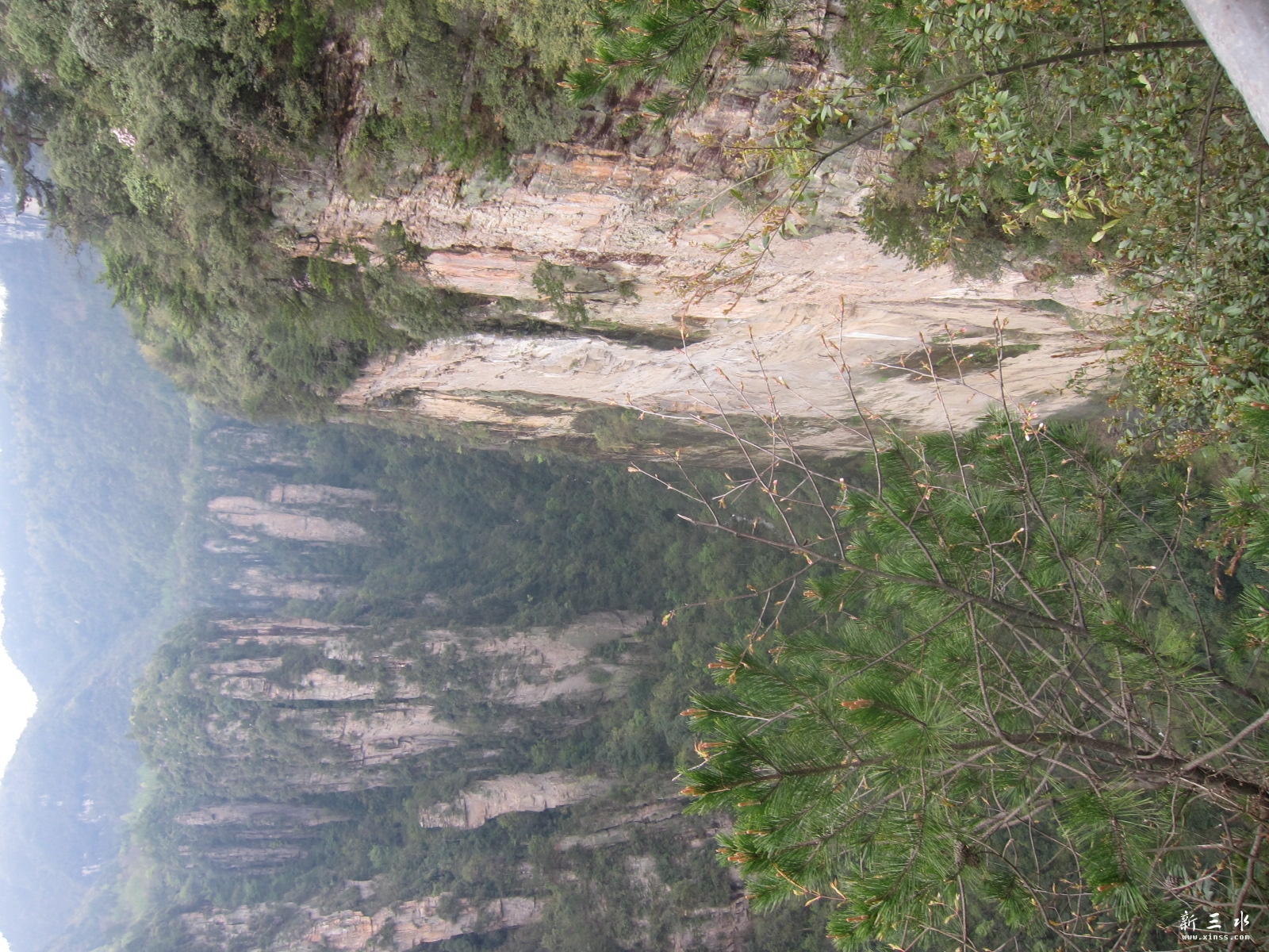 �ڶ�������--�������� (2).JPG