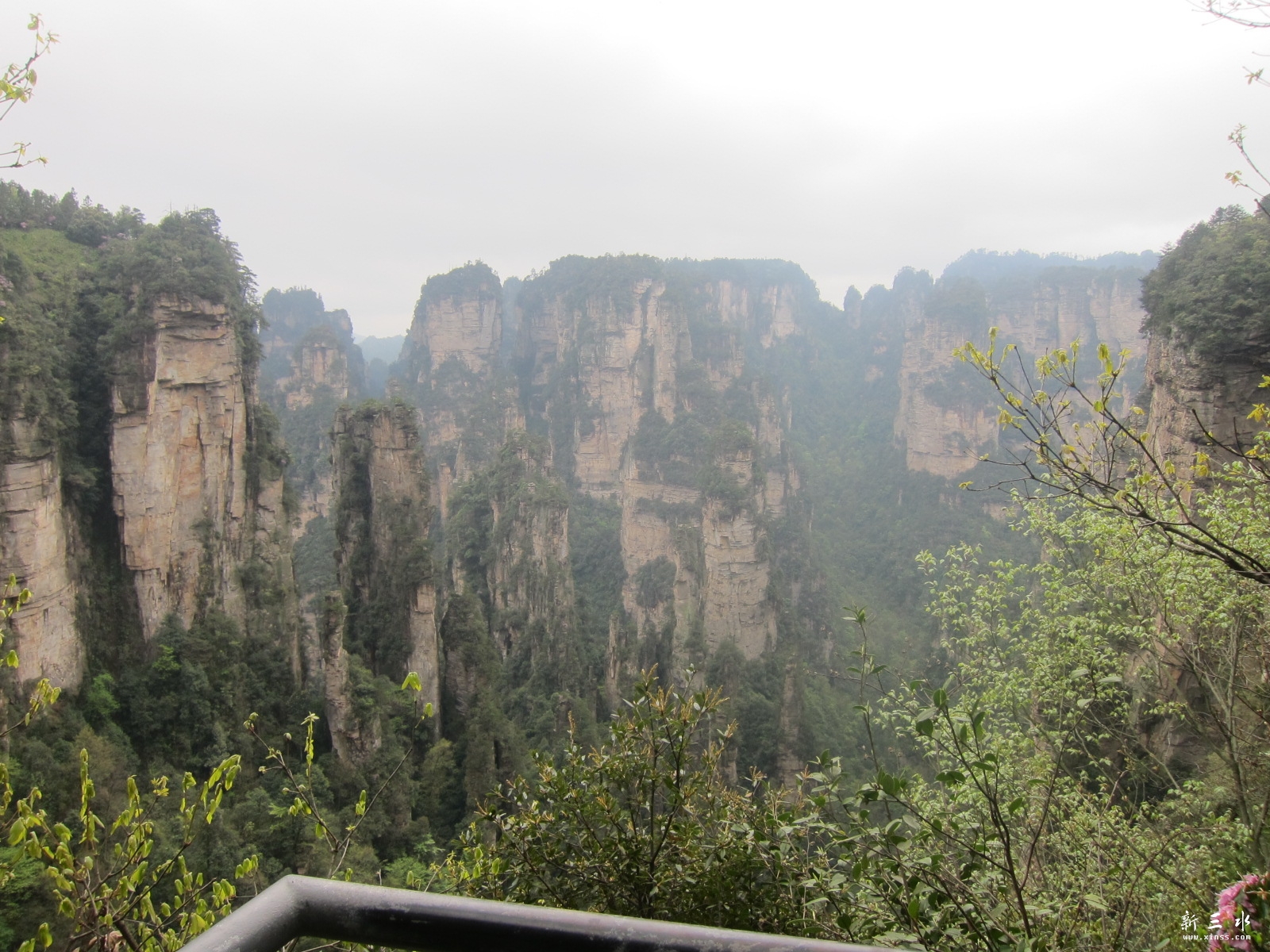 �ڶ�������---��԰ (4).JPG