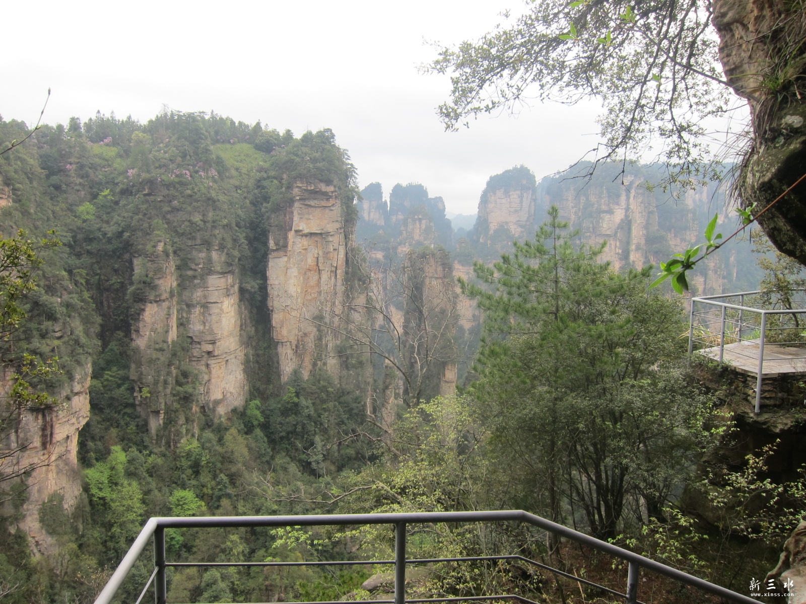 �ڶ�������---��԰ (10).JPG