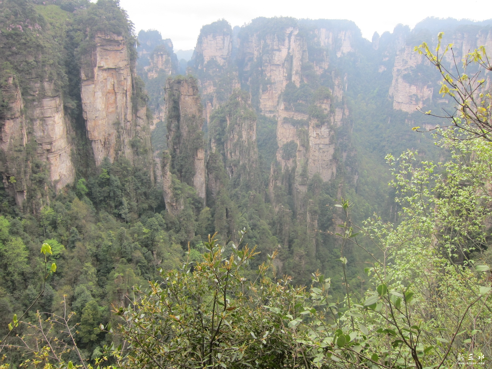 �ڶ�������---��԰ (9).JPG