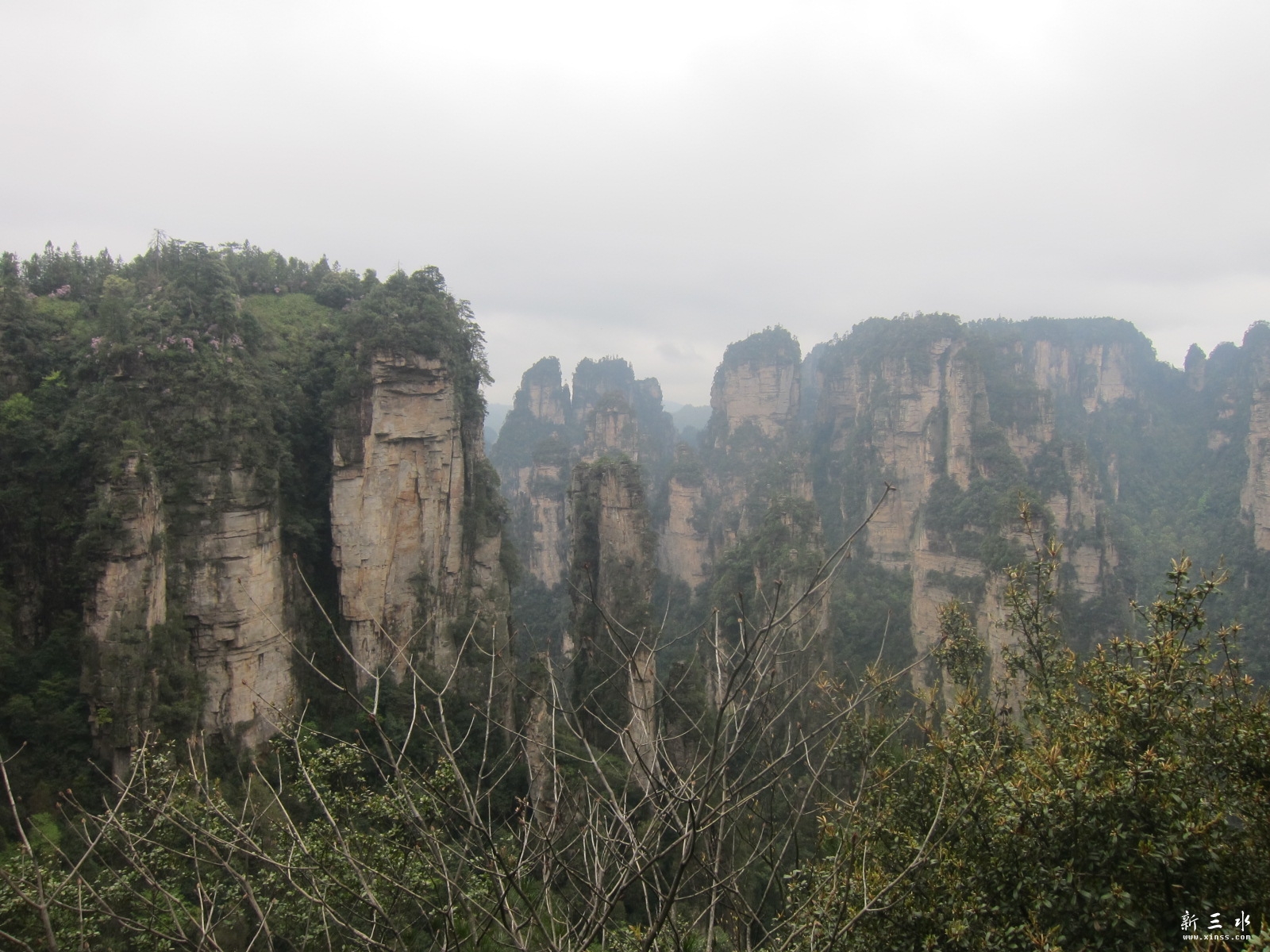 �ڶ�������---��԰ (14).JPG