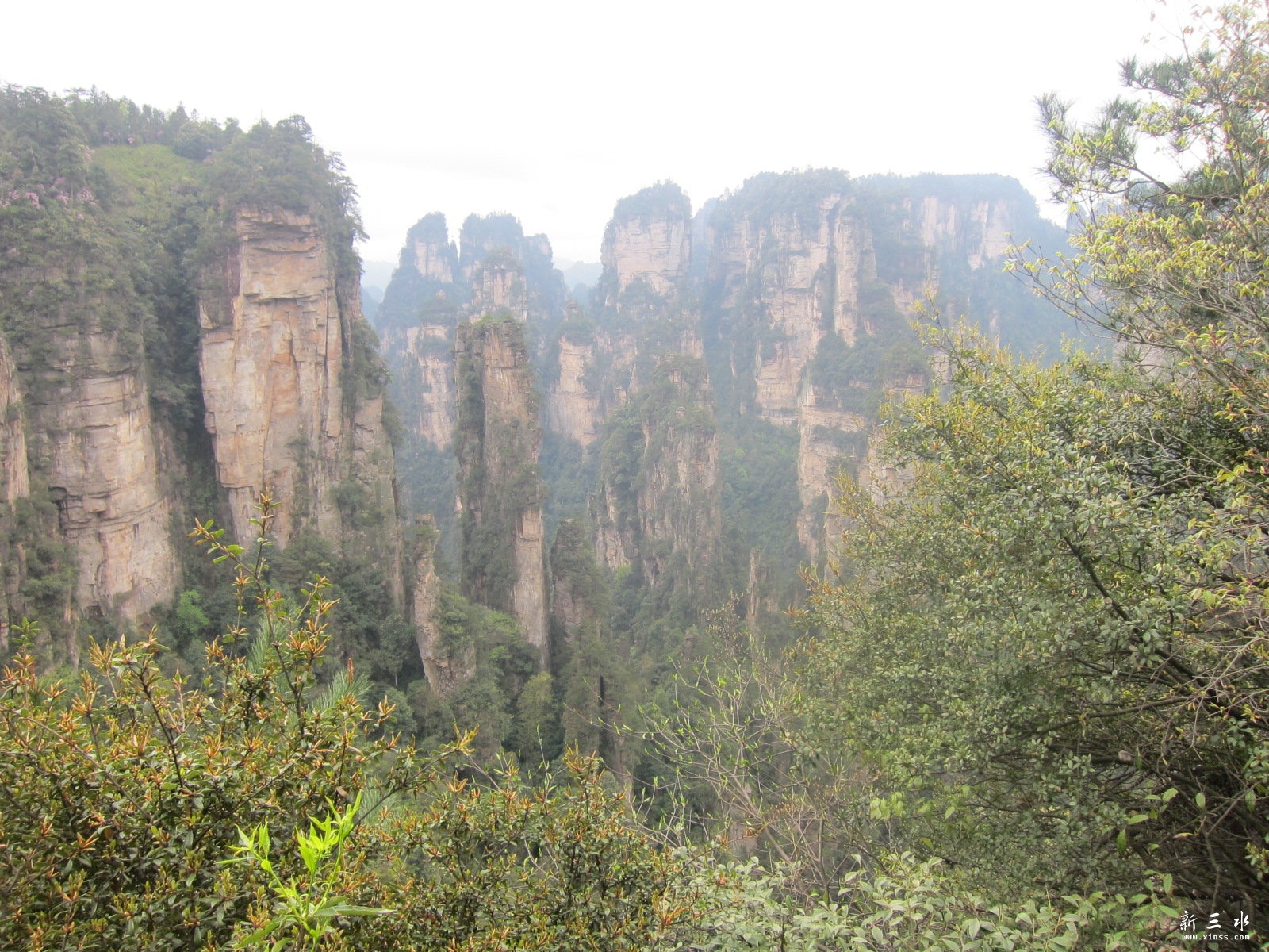 �ڶ�������---��԰ (15).JPG