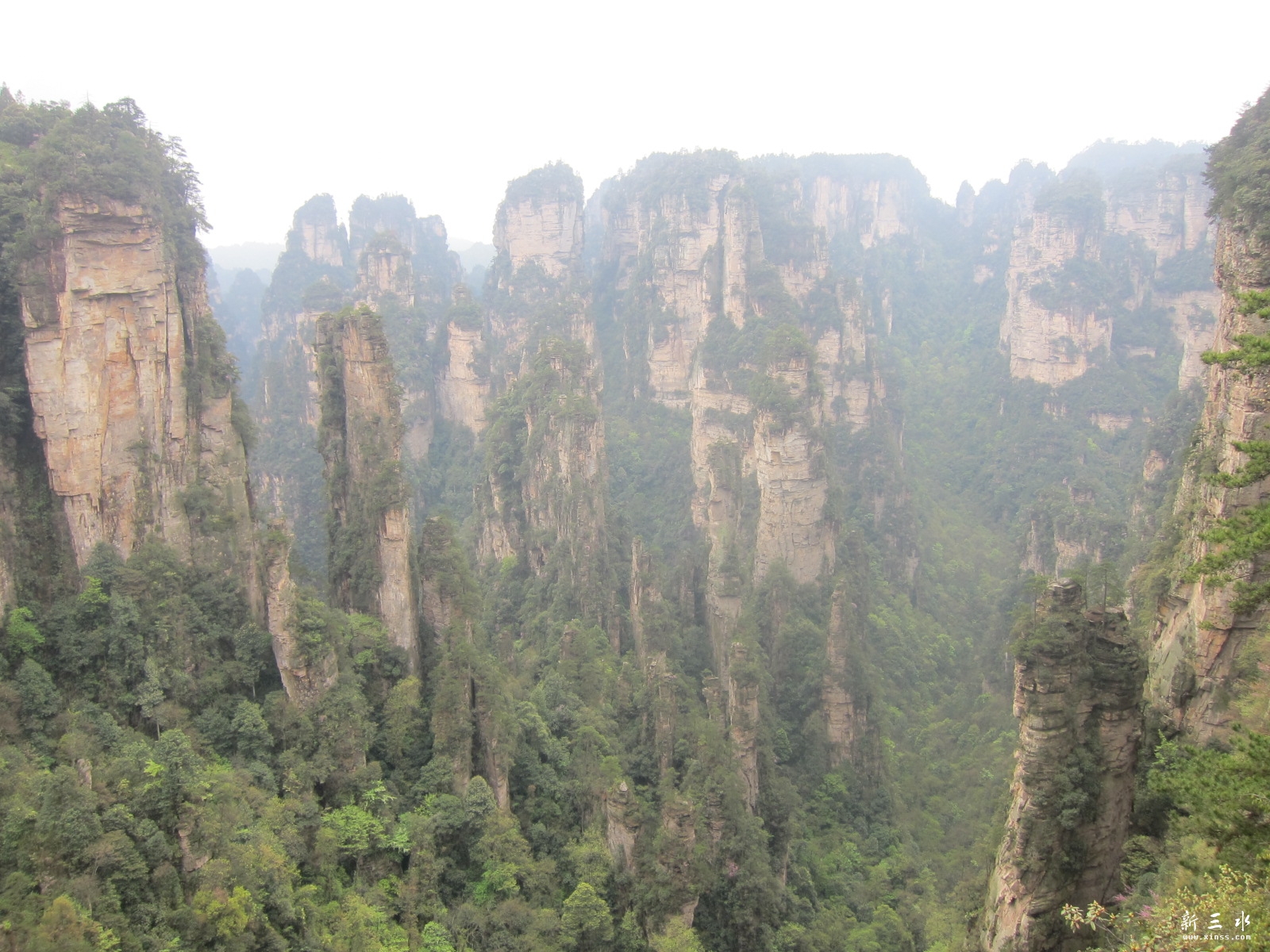 �ڶ�������---��԰ (16).JPG