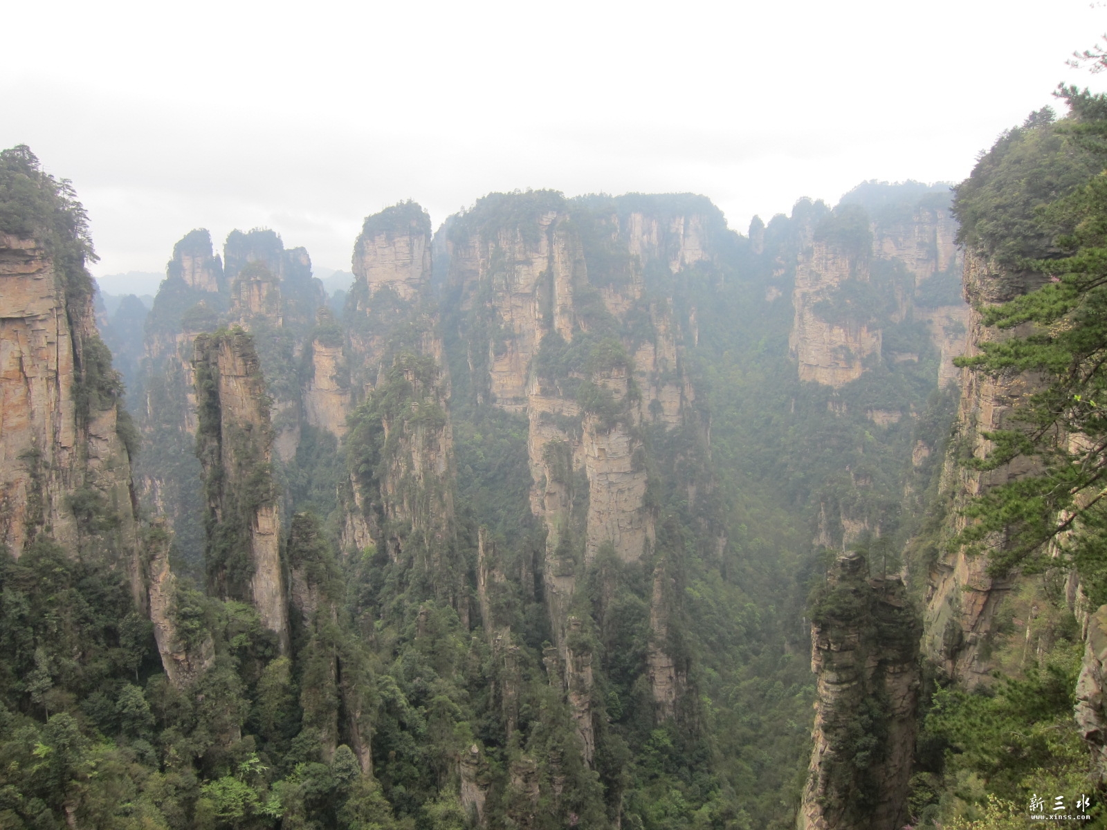 �ڶ�������---��԰ (17).JPG